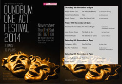 Dundrum Festival 2014