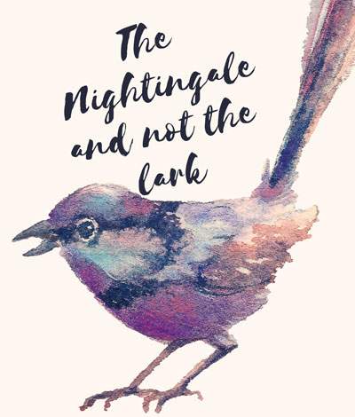 poster for 'The Lark and Not The Nightingale'
